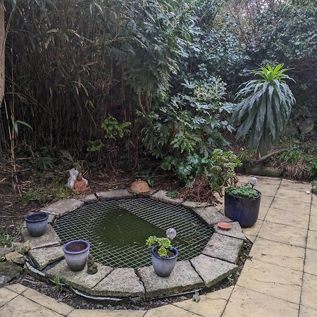 The garden apartment St Ives Buitenkant foto