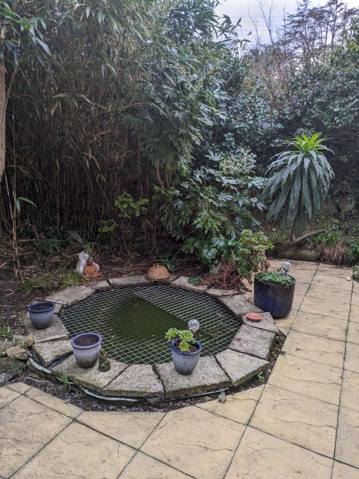 The garden apartment St Ives Buitenkant foto